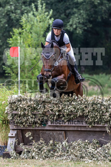 Late-Entry Vielseitigkeit Hamminkeln/Wesel (01.+02.08.2020)