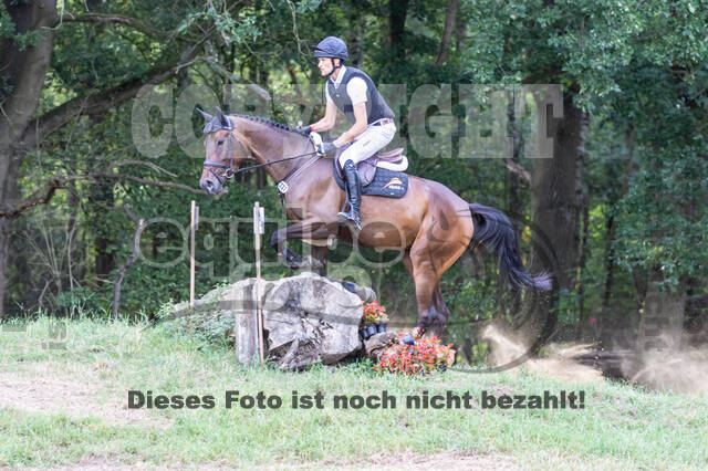 Late-Entry Vielseitigkeit Hamminkeln/Wesel (01.+02.08.2020)