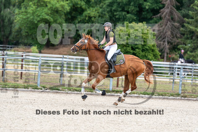 Late-Entry-Vielseitigkeit Langenfeld (11.+13./14.06.2020)