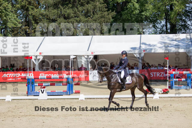 FEI European Championship