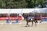 FEI European Championship