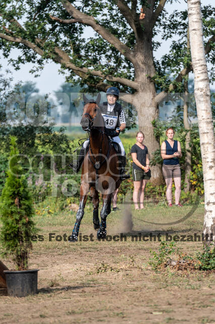 De Peelbergen (August 2020)