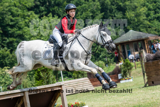 Goldene Schärpe 2021 - Ponys