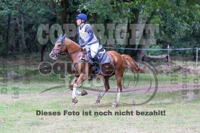 Late-Entry Vielseitigkeit Hamminkeln/Wesel (01.+02.08.2020)