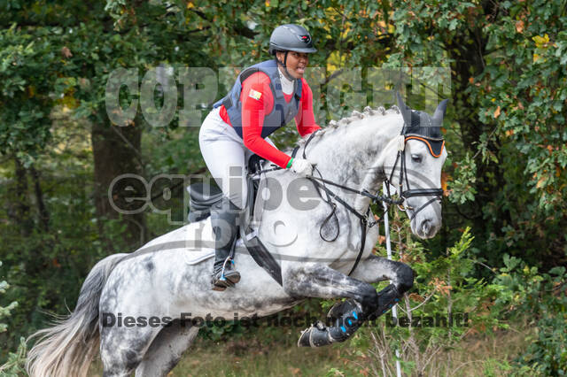 Goldene Schärpe 2020 - Pferde