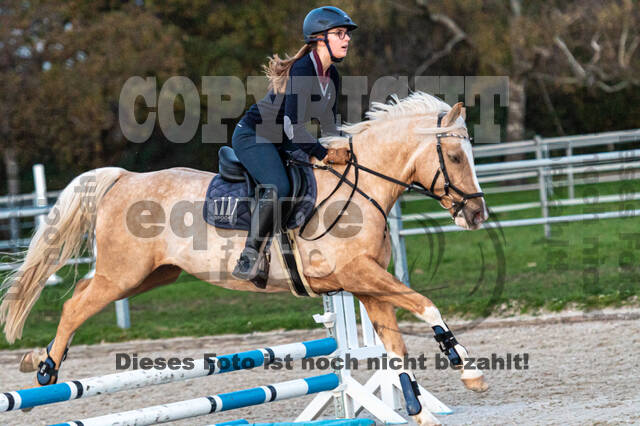 IGV Lehrgang der Sieger der Cups mit Frank Ostholt