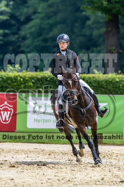Goldene Schärpe 2021 - Ponys