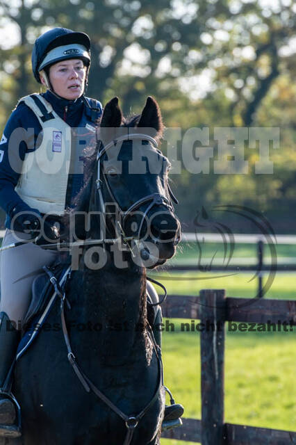 Vielseitigkeitslehrgang mit Jürg Kurbel (9.+10.11.2019)