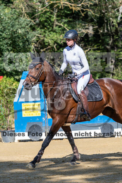 RFV Dinslaken-Hiesfeld (Herbstturnier)