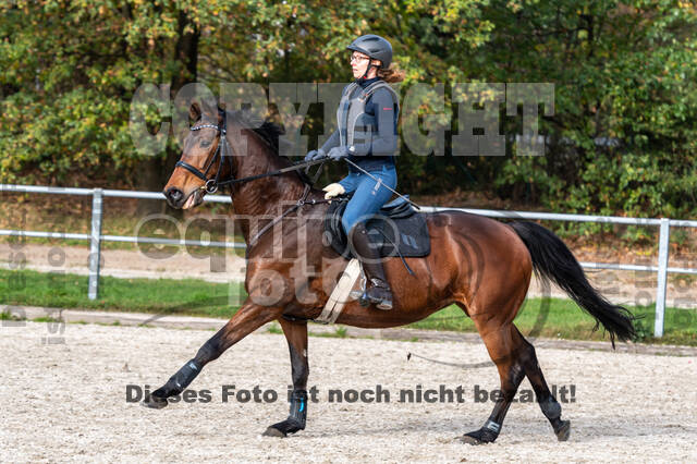 IGV Lehrgang der Sieger der Cups mit Frank Ostholt
