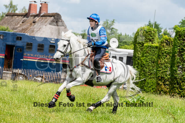 Westerstede Horse Trials 2021
