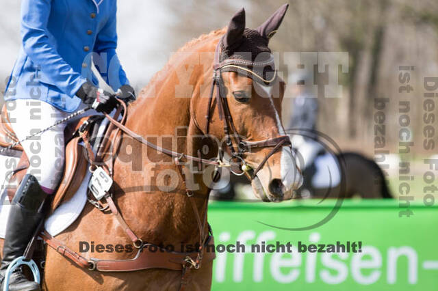 Frühjahrsvielseitigkeit RV Seydlitz Kamp