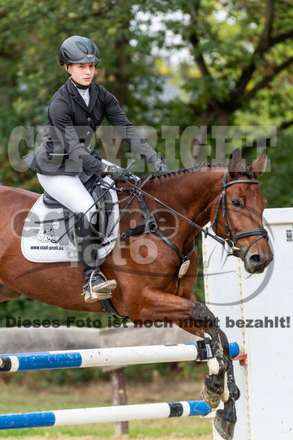 Vielseitigkeit RSV Wesel Obrighoven (26.+27.09.2020)