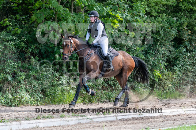 Late-Entry-Vielseitigkeit Langenfeld (11.+13./14.06.2020)