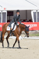 FEI European Championship Eventing 2017