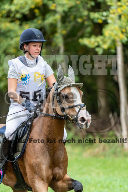 Vielseitigkeit RSV Wesel Obrighoven (26.+27.09.2020)