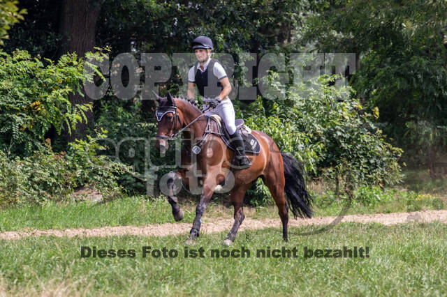 Late-Entry-Vielseitigkeit Gahlen (18.07.2020)