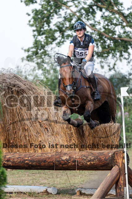 De Peelbergen (August 2020)