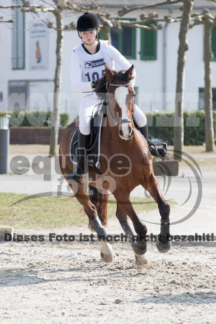 Eventing Langenfeld 2018