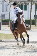 Eventing Langenfeld 2018