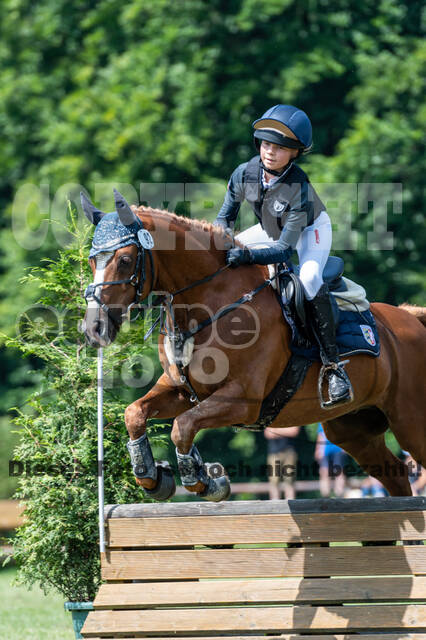 Goldene Schärpe 2021 - Ponys