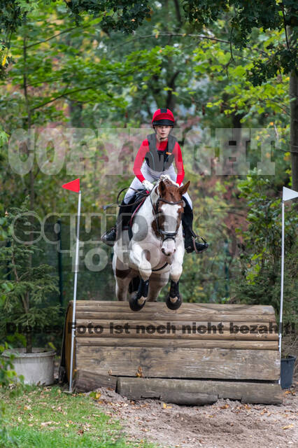 Goldene Schärpe 2020 - Pferde