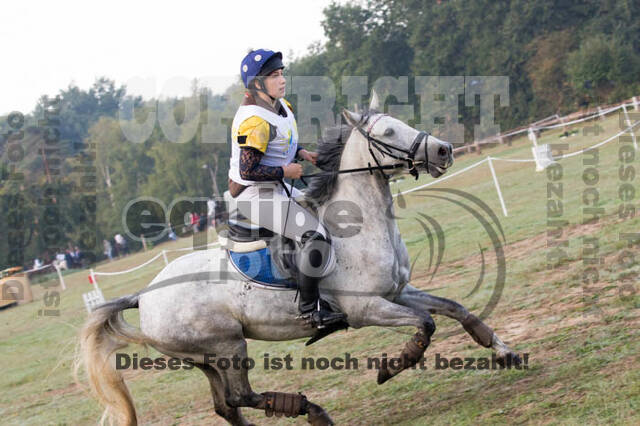 Vielseitigkeitsturnier RSV St. Hubertus Wesel Obrighoven