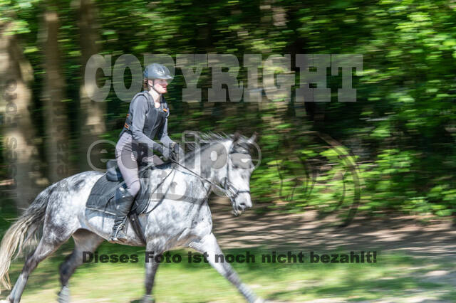 Test of Choise Langenfeld (29.+30.05.2021)