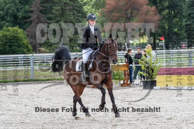 Late-Entry-Vielseitigkeit Langenfeld (06.+07.07.2020)