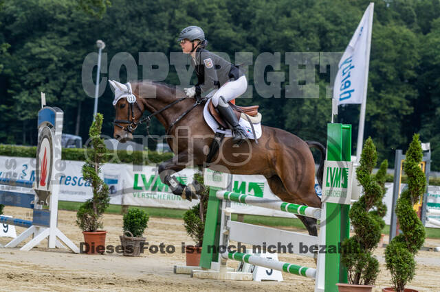 Goldene Schärpe 2021 - Ponys