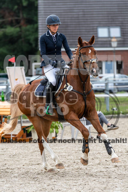 Late-Entry-Vielseitigkeit Langenfeld (06.+07.07.2020)