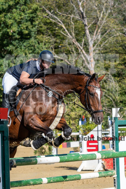 RFV Dinslaken-Hiesfeld (Herbstturnier)