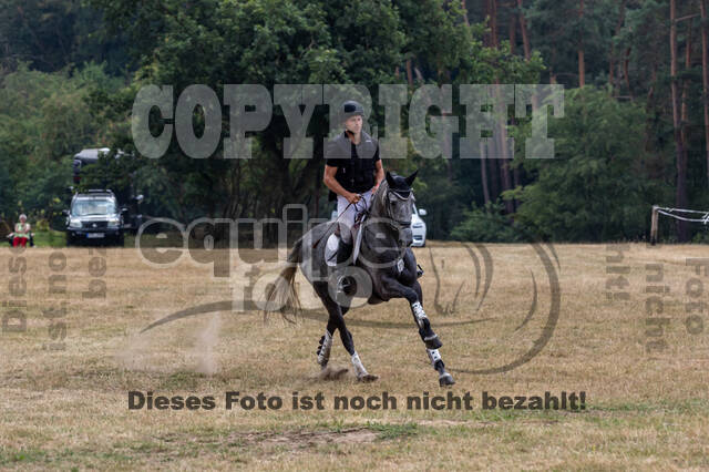 Late-Entry Vielseitigkeit Hamminkeln/Wesel (01.+02.08.2020)
