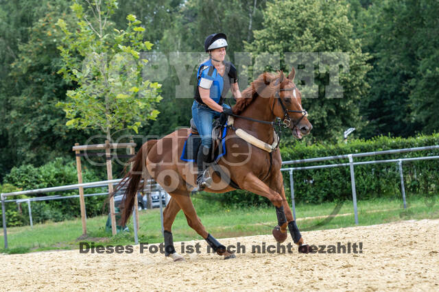 Hunter Geländetraining 10.07.2021 (Sonsbeck)