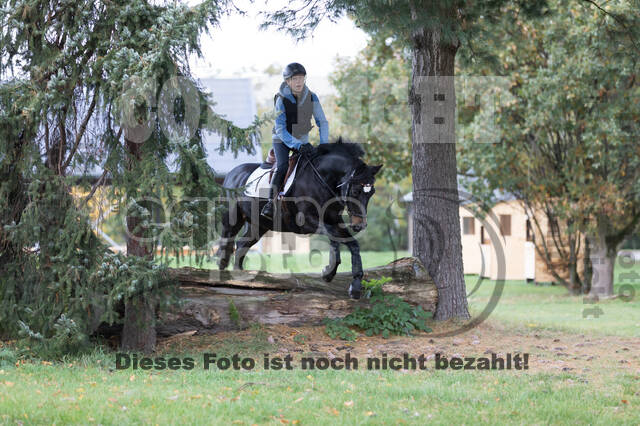 IGV Lehrgang der Sieger der Cups mit Frank Ostholt