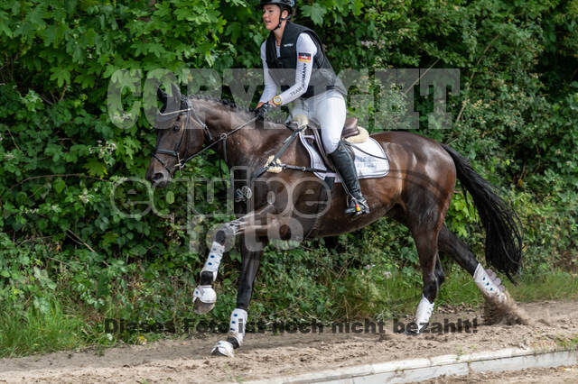 Late-Entry-Vielseitigkeit Langenfeld (11.+13./14.06.2020)
