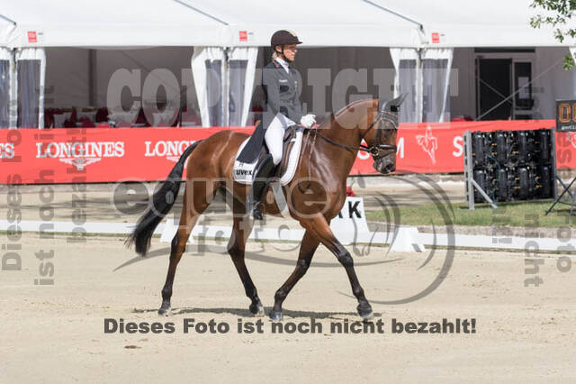 FEI European Championship Eventing 2017