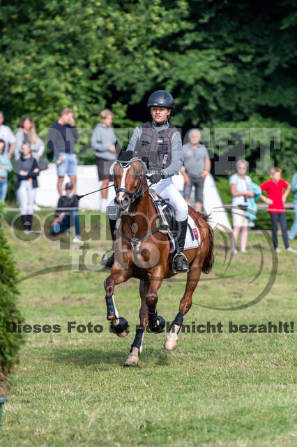 Goldene Schärpe 2021 - Ponys