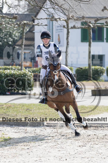 Eventing Langenfeld 2018