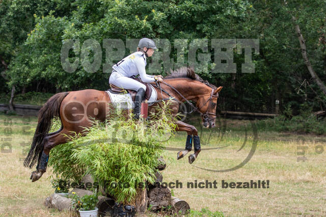 Late-Entry Vielseitigkeit Hamminkeln/Wesel (01.+02.08.2020)