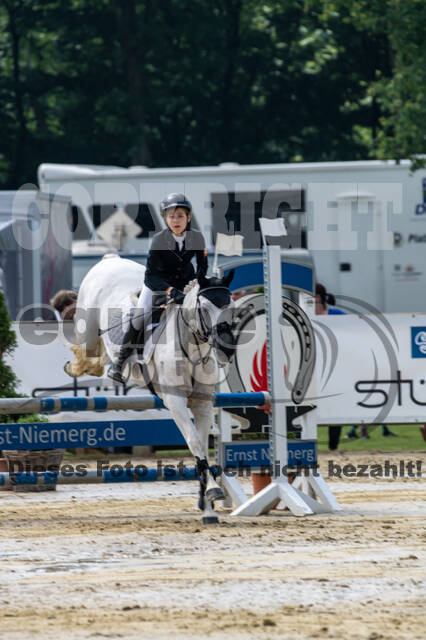 Goldene Schärpe 2021 - Ponys