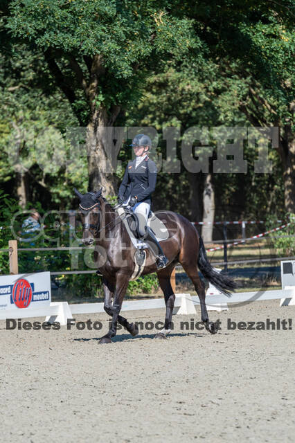 Kronenberg - De Peelbergen (August 2020)