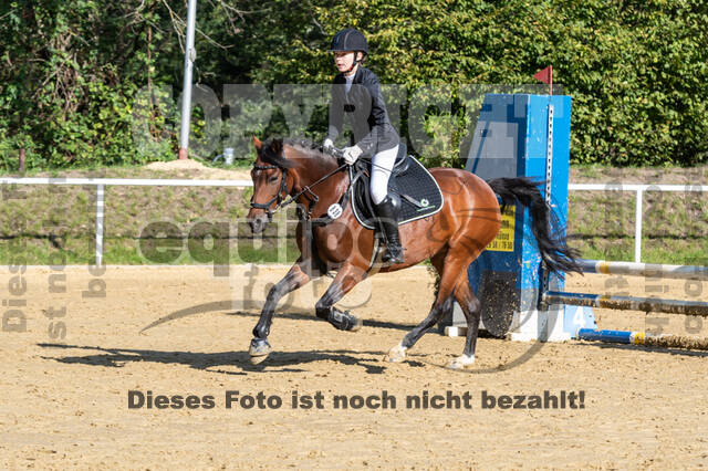 RFV Dinslaken-Hiesfeld (Herbstturnier)