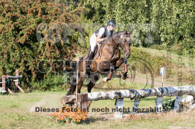 Vielseitigkeitsturnier RSV St. Hubertus Wesel Obrighoven