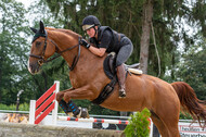 Hunter Geländetraining 10.07.2021 (Sonsbeck)