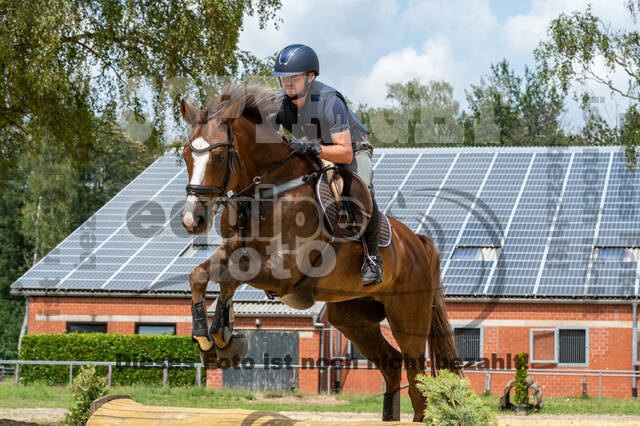Hunter Geländetraining 10.07.2021 (Sonsbeck)