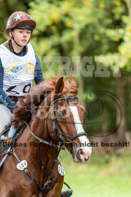 Vielseitigkeit RSV Wesel Obrighoven (26.+27.09.2020)