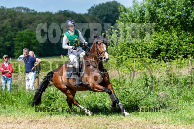 Westerstede Horse Trials (10.-13.06.2021)