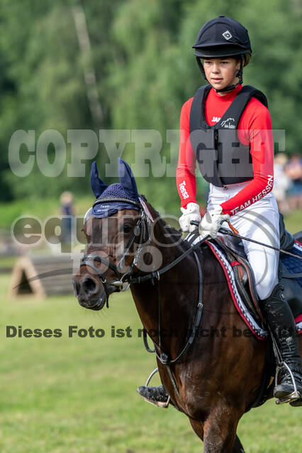 Goldene Schärpe 2021 - Ponys