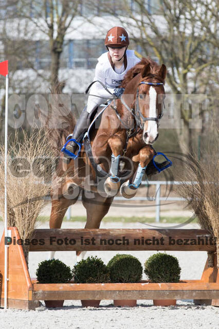Eventing Langenfeld 2018